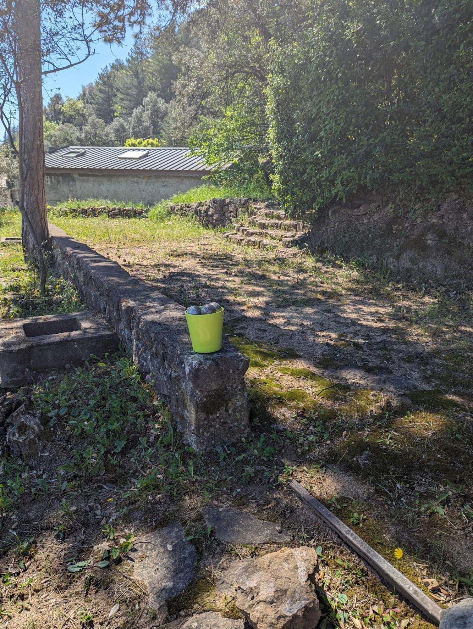 Auberge Des Pins Aubenas Kültér fotó